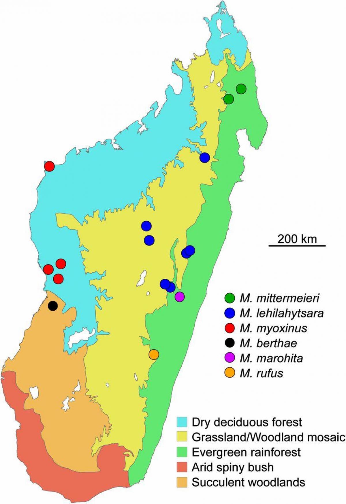 mapa Madagaskaru deštný prales