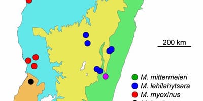Mapa Madagaskaru deštný prales
