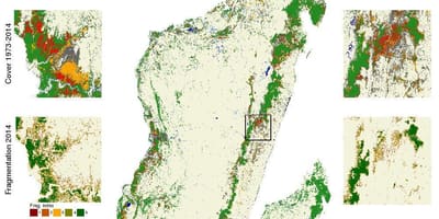 Mapa odlesňování Madagaskaru