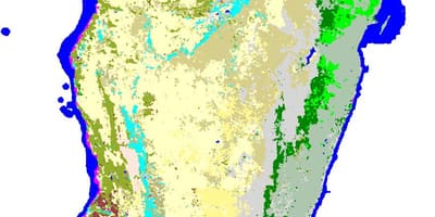 Mapa Madagaskaru vegetace